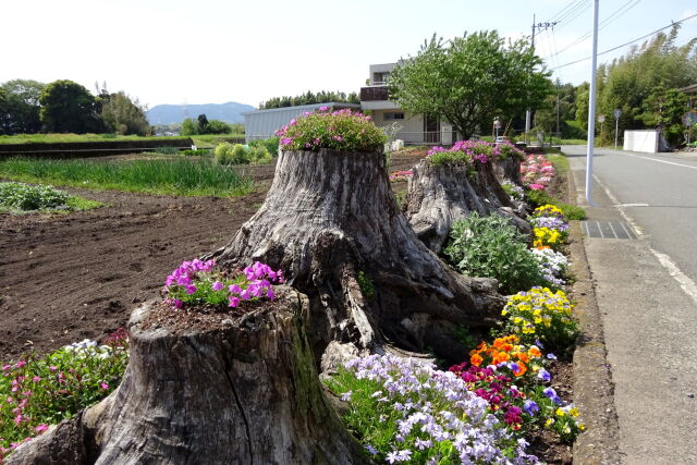 田舎道の花壇