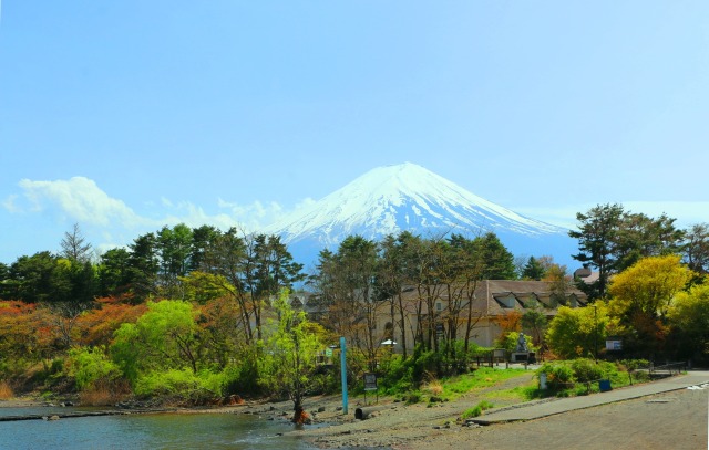 新緑の河口湖