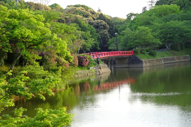 公園の赤い橋