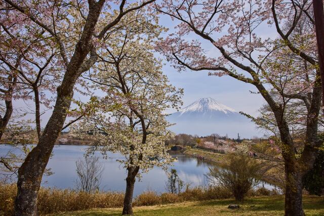 田貫湖