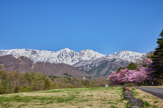 白馬に春来る