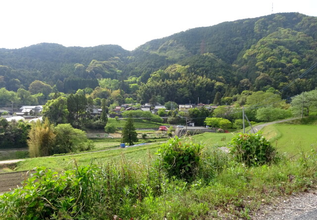 若葉の里の春景色