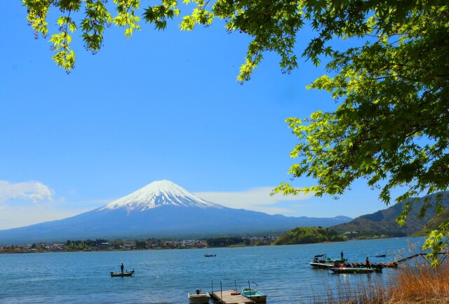 新緑の河口湖