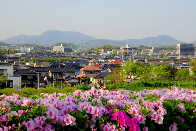 夕暮れ近くの春景色