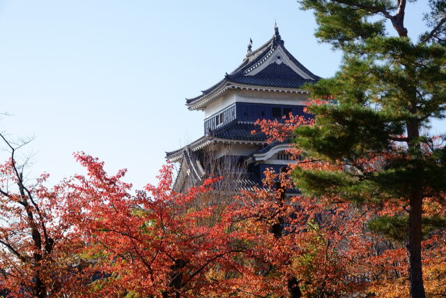 秋の松本城