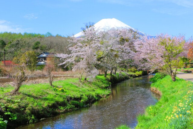 忍野八海