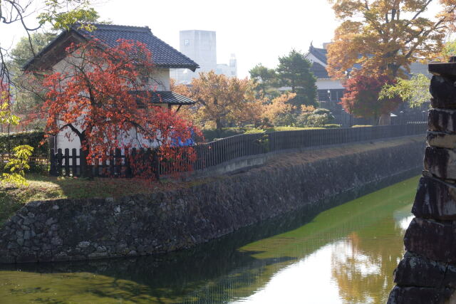 松本城内堀