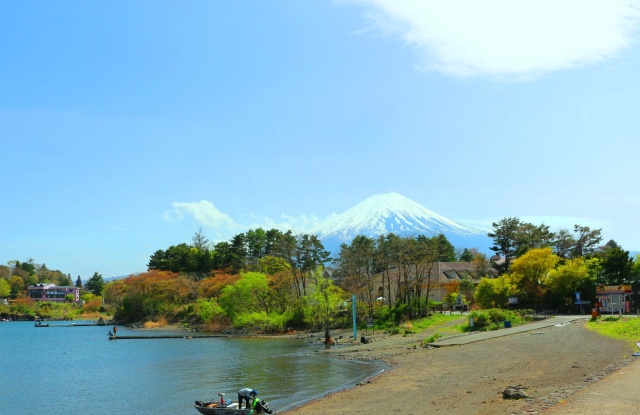 新緑の河口湖