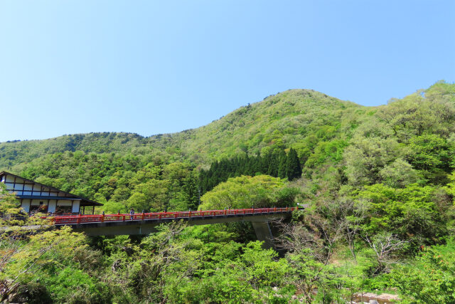 三徳山 新緑の季節
