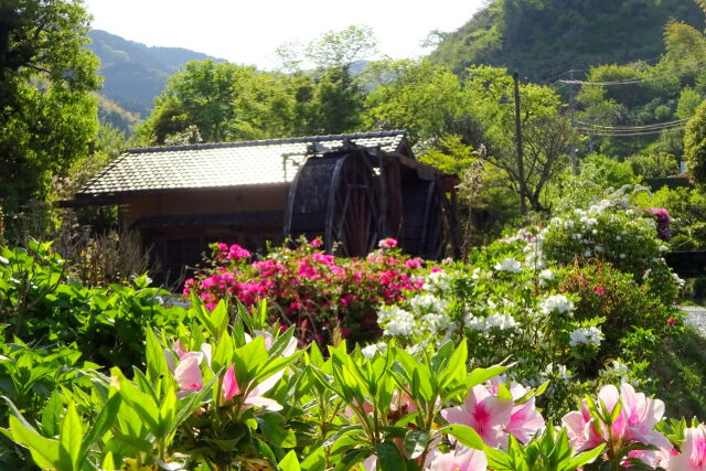 花いっぱいの水車小屋