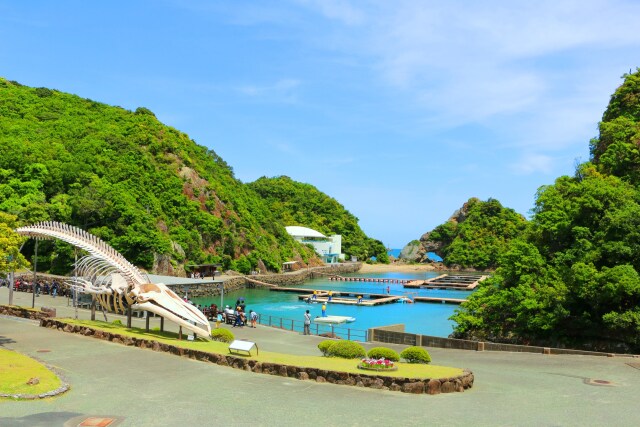 新緑のくじら博物館