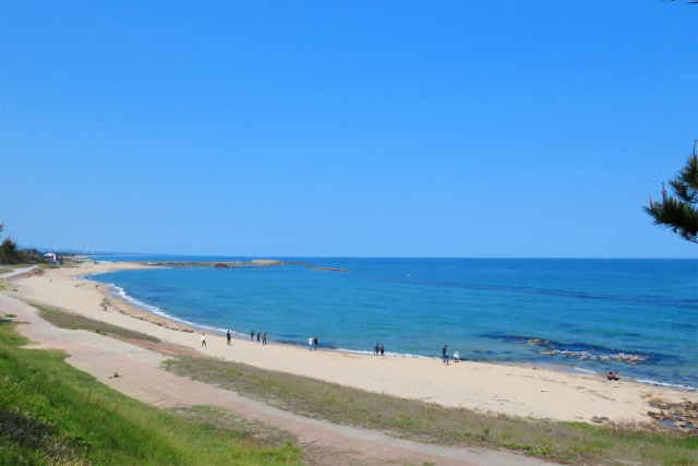 山陰海岸 春 羽合