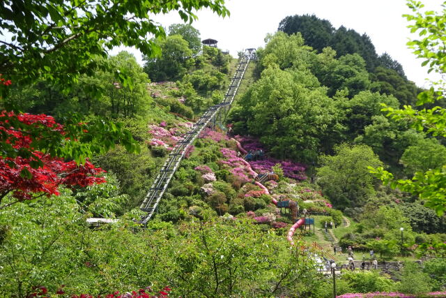 わんぱく王国 高取山公園