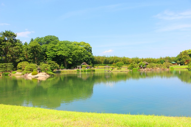 新緑の後楽園