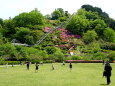 わんぱく王国 高取山公園