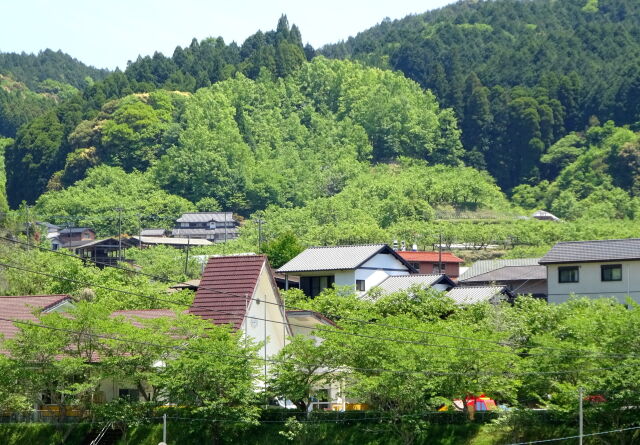 新緑山村のとんがり屋根