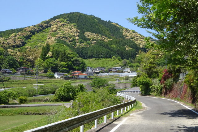 新緑の山里に続く道