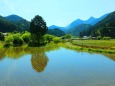 新緑の里山