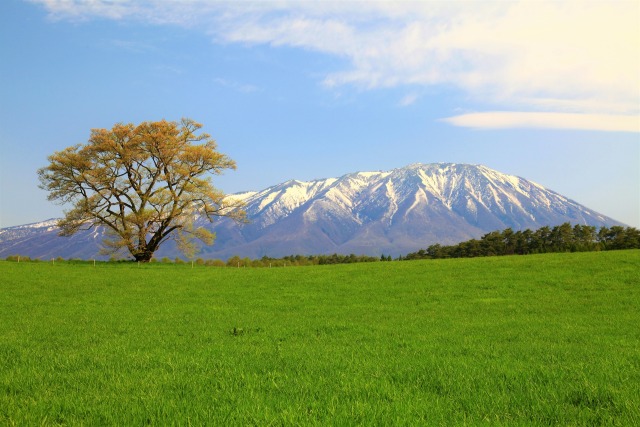 春の小岩井農場