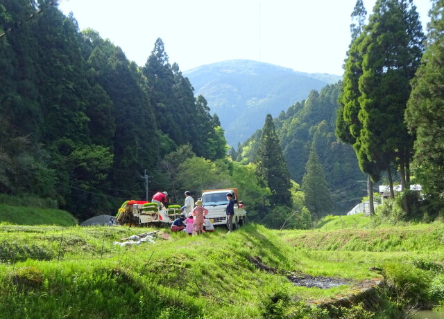 山間部 連休帰省の実家の田植