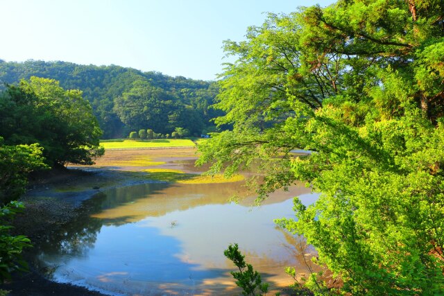 新緑の水辺