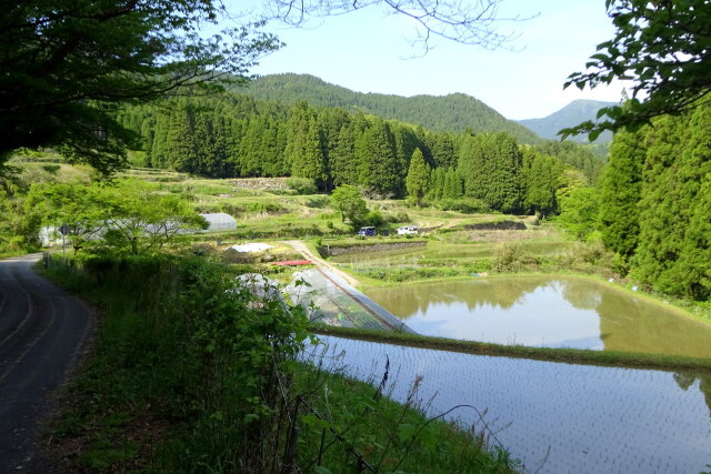 山間部 田植えが始まる頃