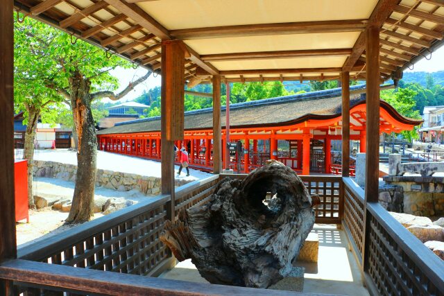 新緑の厳島神社