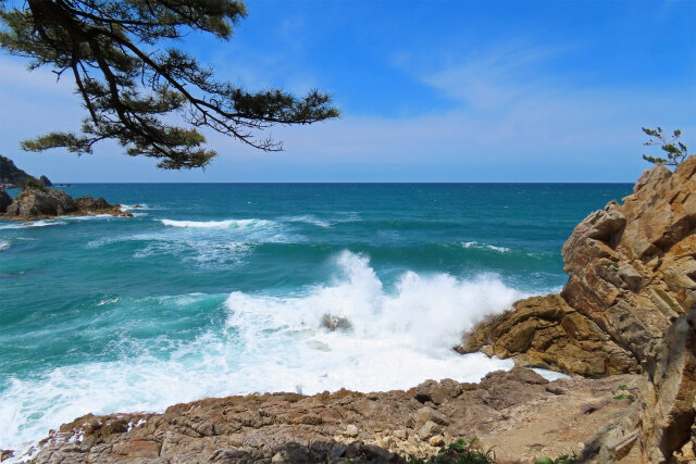 山陰海岸 春 東浜 2