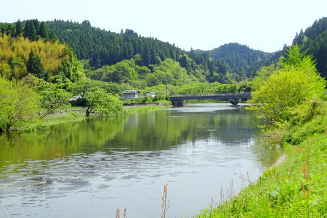 山の湖 入り江の新緑