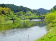 山の湖 入り江の新緑