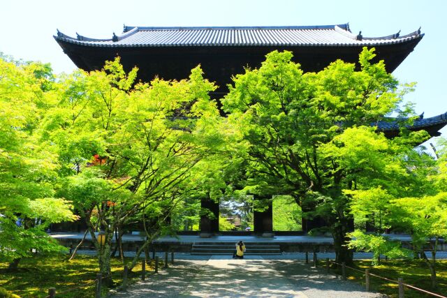 新緑の南禅寺