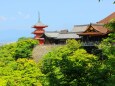 新緑の清水寺