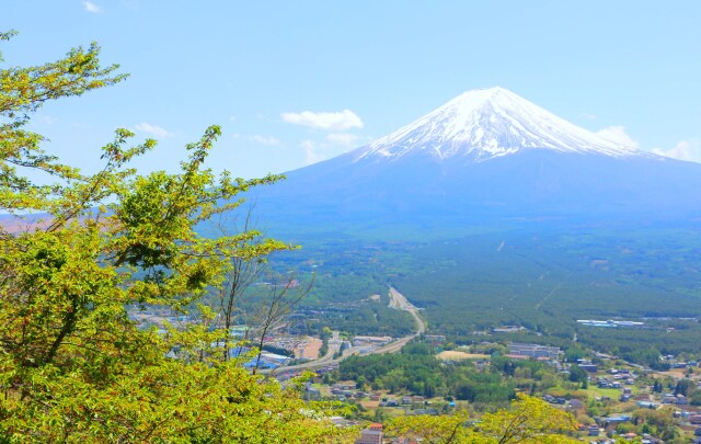 新緑の河口湖