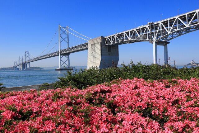 花と大橋