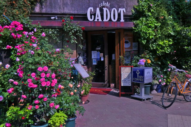 薔薇の花咲く喫茶店