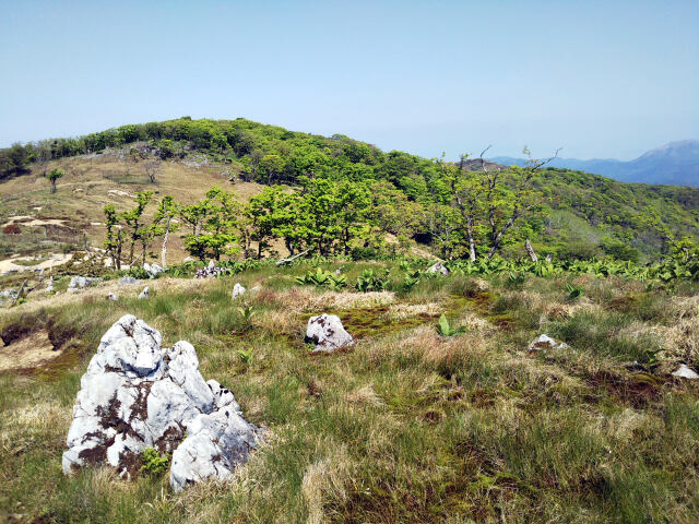 御池岳～山頂の台地より