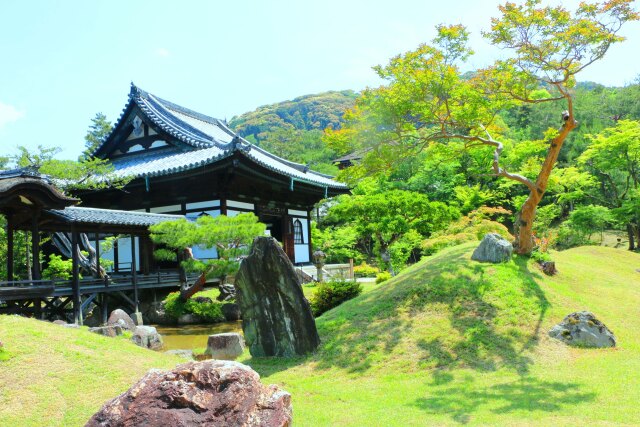 新緑の高台寺