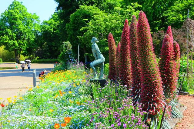 京都府立植物園