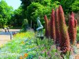 京都府立植物園