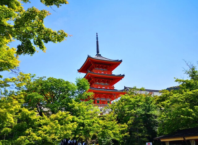 新緑の清水寺