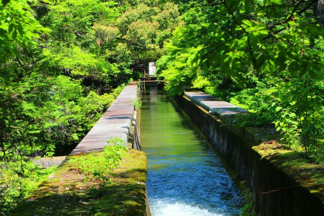 南禅寺水路