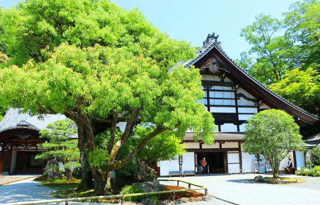 新緑の南禅寺