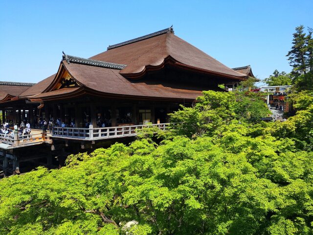 新緑の清水寺