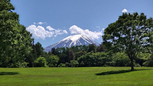 新緑と富士山