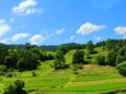 初夏の里山