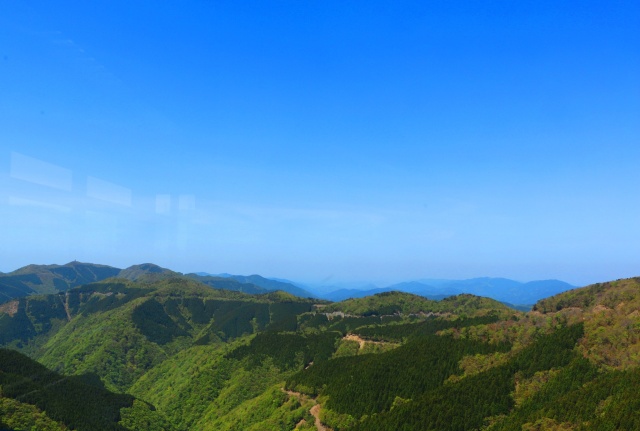 初夏の紀伊山地