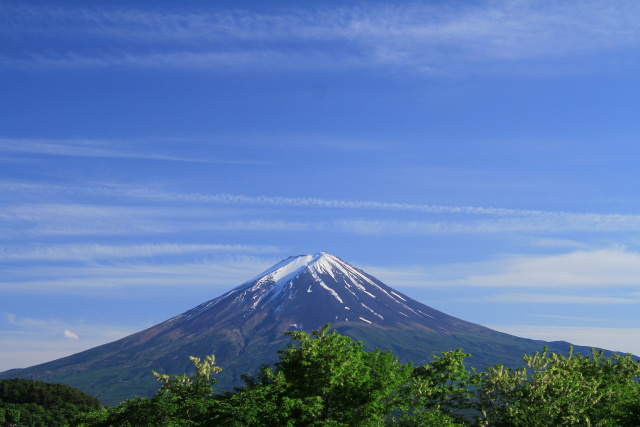 春の富士山