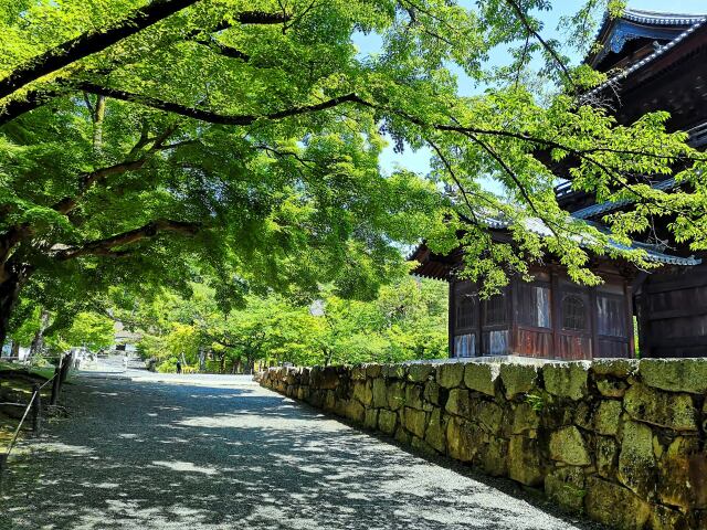 初夏の南禅寺