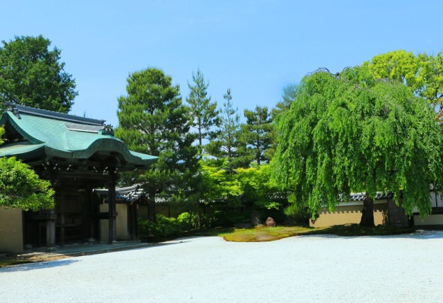 初夏の高台寺