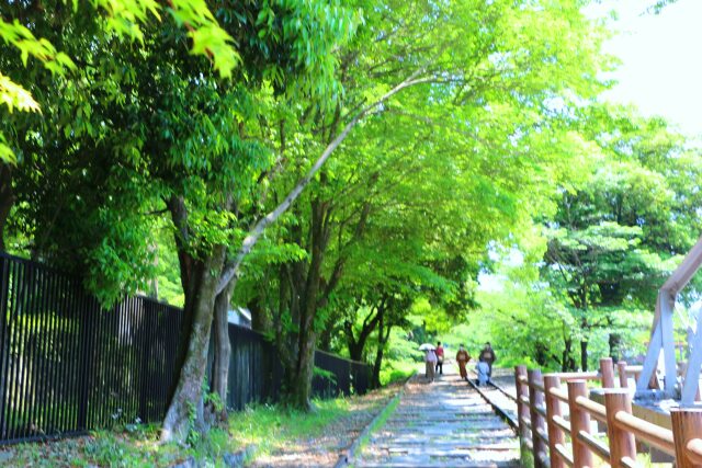 初夏の蹴上インクライン